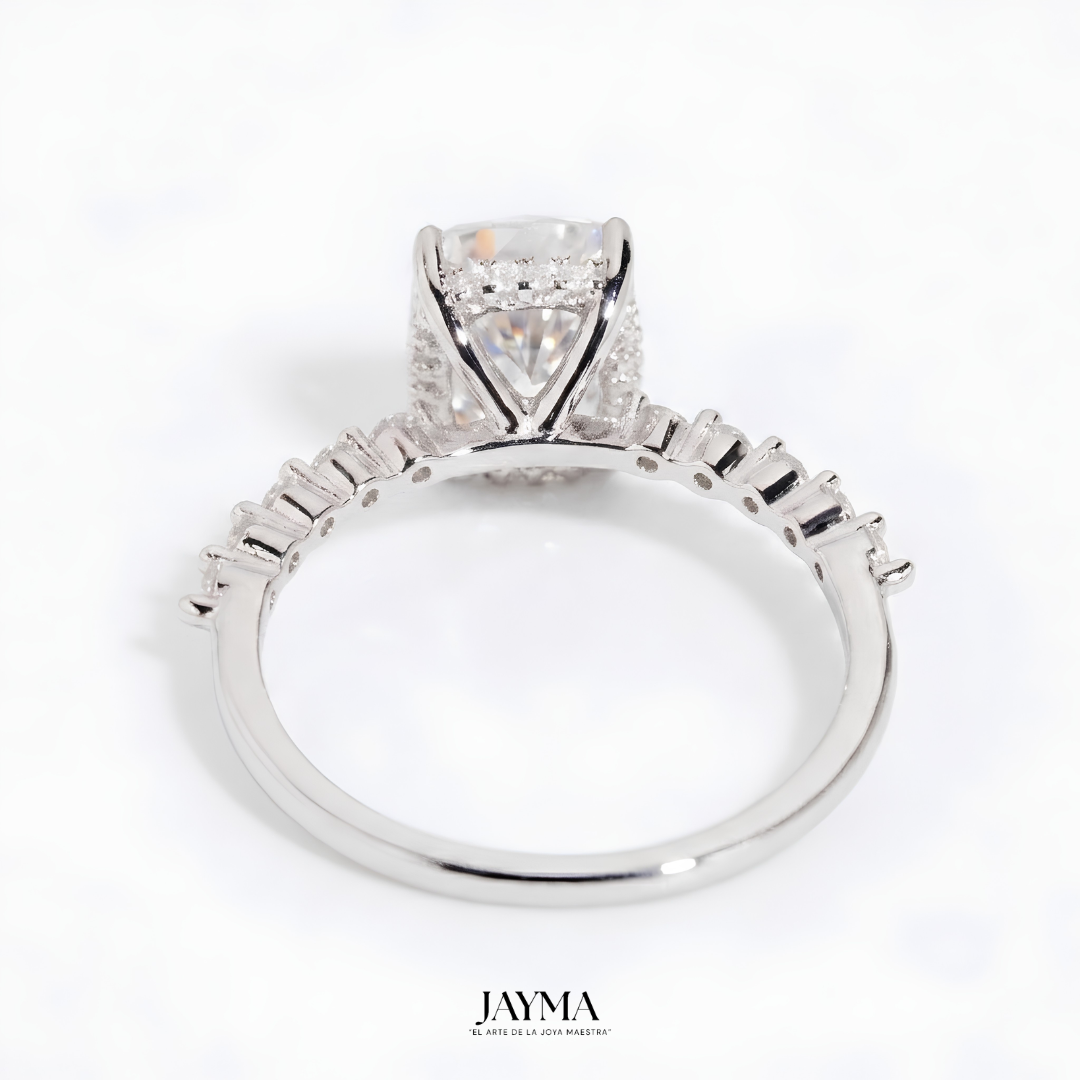 Anillo Glacier Jay